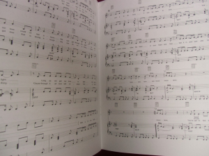 Celine Dion - Songbook Songbook Notenbuch Piano Vocal Guitar PVG