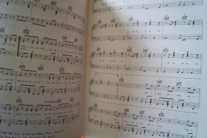 Enya - Watermark Songbook Notenbuch Piano Vocal Guitar PVG