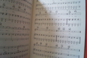 Enya - Watermark Songbook Notenbuch Piano Vocal Guitar PVG