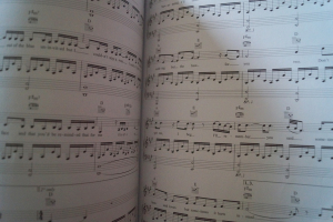 Adele - 21 Songbook Notenbuch Piano Vocal Guitar PVG