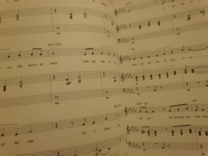 Andrew Lloyd Webber - Gold Songbook Notenbuch Piano Vocal Guitar PVG