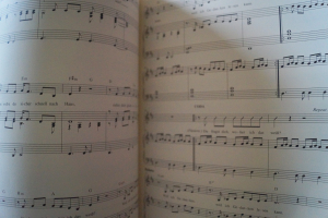 Annett Louisan - Teilzeithippie Songbook Notenbuch Piano Vocal