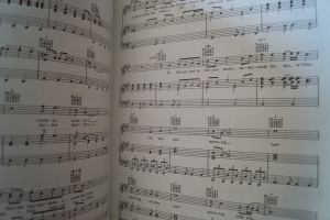 Bob Dylan - Anthology Vol. 1 & 2 Songbooks Notenbücher Piano Vocal Guitar PVG