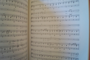 Bob Marley - 10 Greatest Hits Songbook Notenbuch Piano Vocal Guitar PVG