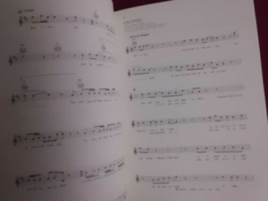 Bob Marley - Concise Songbook Notenbuch Vocal Guitar