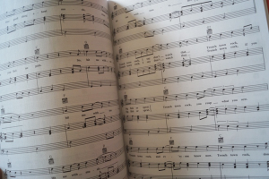 Bob Marley - Natural Mystic Songbook Notenbuch Piano Vocal Guitar PVG