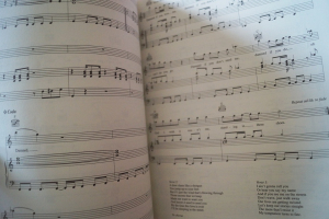 Bon Jovi - These Days Songbook Notenbuch Piano Vocal Guitar PVG