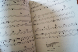 Bon Jovi - These Days Songbook Notenbuch Piano Vocal Guitar PVG