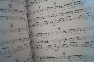 Christina Aguilera - Stripped Songbook Notenbuch Piano Vocal Guitar PVG