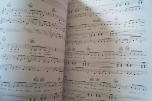 Corrs - In Blue Songbook Notenbuch Piano Vocal Guitar PVG