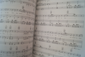 Evanescence - Fallen Songbook Notenbuch Piano Vocal Guitar PVG