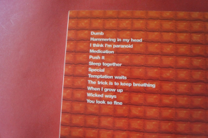 Garbage - Version 2.0 (mit Poster) Songbook Notenbuch Vocal Guitar