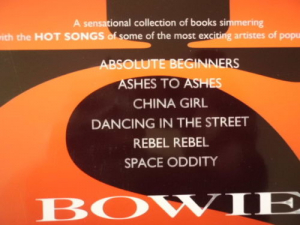 David Bowie - Hot Songs 1 & 2 Songbooks Notenbücher Piano Vocal Guitar PVG