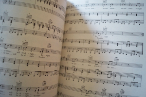 David Bowie - Tonight Songbook Notenbuch Piano Vocal Guitar PVG