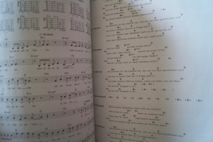 Toten Hosen, Die - In aller Stille Songbook Notenbuch Vocal Guitar