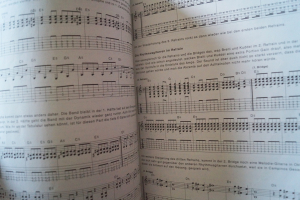 Toten Hosen, Die - In aller Stille Songbook Notenbuch Vocal Guitar