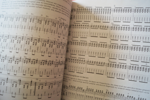 Toten Hosen, Die - Zurück zum Glück Songbook Notenbuch Piano Vocal Guitar PVG