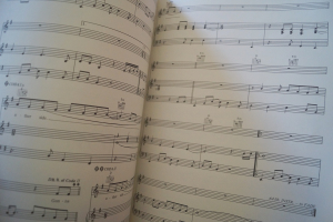 Dire Straits - Brothers In Arms Songbook Notenbuch Piano Vocal Guitar PVG