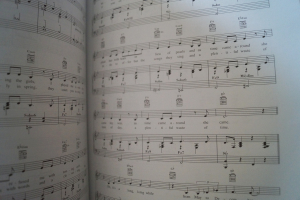 The Best of Jazz Standards Volume 3 Songbook Notenbuch Piano Vocal Guitar PVG