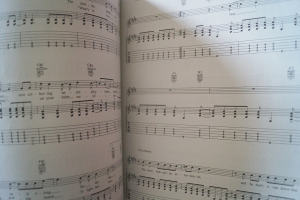 Green Day - American Idiot Songbook Notenbuch Vocal Guitar