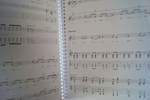 Guano Apes - Songbook Songbook Notenbuch Vocal Guitar Bass