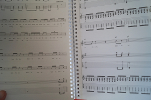 Guano Apes - Songbook Songbook Notenbuch Vocal Guitar Bass