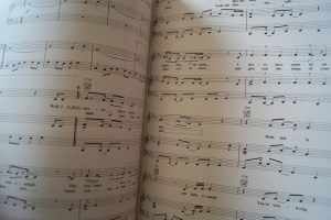 INXS - Songbook Songbook Notenbuch Piano Vocal Guitar PVG