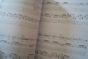 Iron Maiden - The Final Frontier Songbook Notenbuch Vocal Guitar