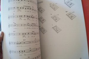 Herbert Grönemeyer - Zwölf Songbook Notenbuch Piano Vocal Guitar PVG