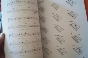 Herbert Grönemeyer - Zwölf Songbook Notenbuch Piano Vocal Guitar PVG