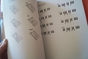 Herbert Grönemeyer - Zwölf Songbook Notenbuch Piano Vocal Guitar PVG