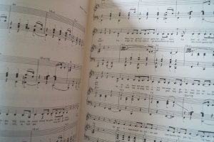 Herman van Veen - Gezongen Songbook Notenbuch Piano Vocal