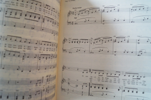 Herman van Veen - Gezongen Songbook Notenbuch Piano Vocal