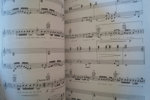 Jan Delay - Songbook Songbook Notenbuch Piano Vocal Guitar PVG