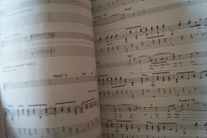 Neil Young - Guitar Anthology Songbook Notenbuch Vocal Guitar