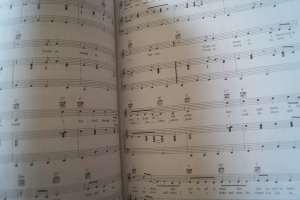 Johnny Cash - The Essential Songbook Notenbuch Piano Vocal Guitar PVG