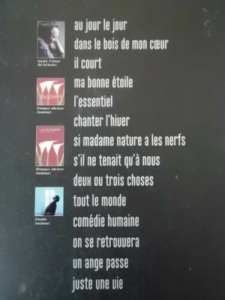 Louis Chedid - Un Ange Passe Songbook Notenbuch Piano Vocal Guitar PVG