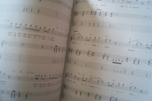 ACDC - Stiff Upper Lip Songbook Notenbuch Vocal Guitar