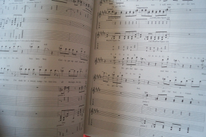 ACDC - Stiff Upper Lip Songbook Notenbuch Vocal Guitar