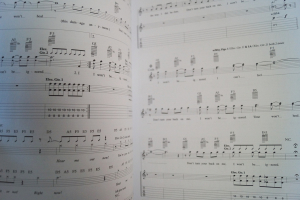 Linkin Park - Meteora Songbook Notenbuch Vocal Guitar