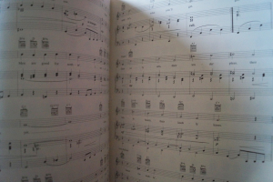 Marlene Dietrich - The Songbook Songbook Notenbuch Piano Vocal Guitar PVG