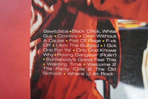 Kid Rock - Devil without a Cause Songbook Notenbuch Vocal Guitar