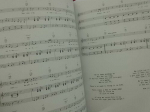 Micky Green - White T-Shirt Songbook Notenbuch Piano Vocal Guitar PVG