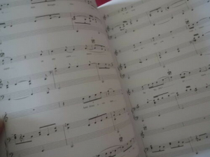 Norah Jones - Not too late Songbook Notenbuch Piano Vocal Guitar PVG