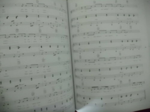 Natasha St. Pier - Grands succes Songbook Notenbuch Piano Vocal Guitar PVG