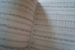 Blink 182 - Best of Songbook Notenbuch Vocal Bass