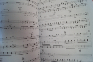 One Republic - Dreaming out loud Songbook Notenbuch Piano Vocal Guitar PVG