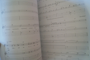 Red Hot Chili Peppers - Stadium Arcadium Songbook Notenbuch Vocal Guitar