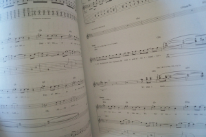 Red Hot Chili Peppers - Stadium Arcadium Songbook Notenbuch Vocal Guitar