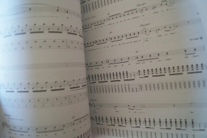 Red Hot Chili Peppers - Stadium Arcadium Songbook Notenbuch Vocal Guitar